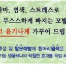 퀸즈헤나교실 이미지