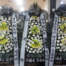 송생초등학교 이미지