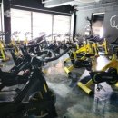 리더스 관 이미지