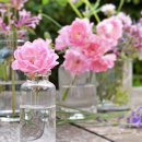 생활 속 힐링 아로마테라피 이미지