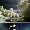 지안 이미지