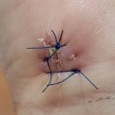 판교이엠365의원 이미지