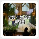 두리원웨딩홀 - 241 | 결혼준비 ② 웨딩홀 투어 안동 리첼 호텔 웨딩(견적 공유)