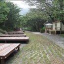 달천계곡 오토캠핑장 이미지