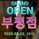 인셀덤인천 - 부평구 경원대로1367번길 15 | 인셀덤인천