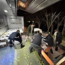 영주 부석사 오불회 괘불탱 이미지