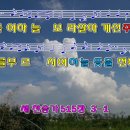 하늘보라 이미지