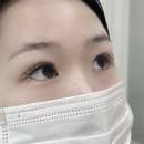 성신여대 속눈썹연장 <래쉬바이브> 러시안볼륨전문 애니메연장 만족한 후기