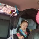 윤우목장 | [D+656] 가평 양떼목장 / 청라 호수공원