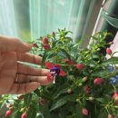 해우공방 | 4월 정규취미반 수업후기 < 분당비누공방. 판교비누공방. 강남비누공방>