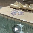 별량연가 이미지