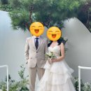 소나무하우스 | [스튜디오] 12. 메리드하우스 야외 소나무씬