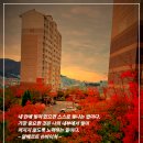 헬레네