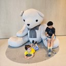 꽁냥꽁냥커피이야기 - 중구 대전천서로 181 | 🏨 강릉 신라모노그램 레지던스 1박 2일 내돈내산 솔직 후기! 초4+두돌 아이랑 다녀온 가족여행 ✨