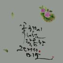 캘리그래피(Ⅱ) 이미지