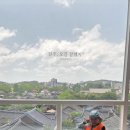 흙이보배다식물 | 라한호텔 전주 루프탑 수영장 feat.한옥마을경기전,로띠팜
