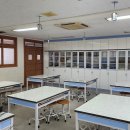 성룡초등학교 Daum카페