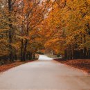 가을코스2 이미지