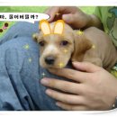 아리컴퓨터 이미지