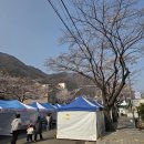 오봉산마을 | 양산 오봉만디 마을문화제 벚꽃 플리마켓 후기, 오봉산 상권 감성 가득한 하루