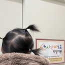 대전숲 어린이집 | 대전 동구, 시간제보육 독립반&amp;통합반 어린이집 정리