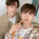 미트데이