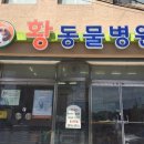 황동물병원 이미지