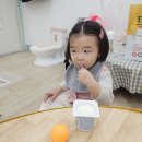 부보님과 분리 후 2일차 적응 이미지
