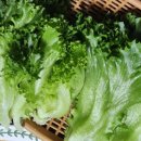 둥구머리협동조합 이미지