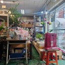 이안상사 이미지