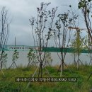 239-운정3-239 이미지