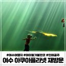 대서양메디칼 | 여수 실내데이트 아쿠아플라넷 입장료 주차 공연정보 부대시설 재방문후기