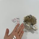 천안아산 드림아이여성의원 I 나팔관조영술 후기