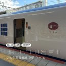 하루카 | 간사이공항 → 교토 하루카 타본 후기| 지정석 예약 방법, 자유석 차이 총정리