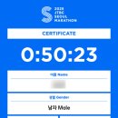 장수갈매기 이미지