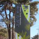 가야유원지 등산로 이미지