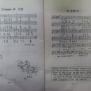 후야후야 Daum카페