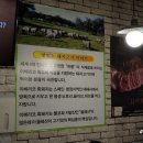 동서오거리 현대자동차 이미지