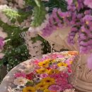 흥덕2로 65번길1 이미지