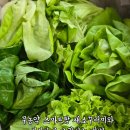 맘보마트 | ​🥬 무농약 수경재배 팜에이트 스마트팜 채소 꾸러미 받아본 후기 &amp; 싱싱하게 오래 보관하는 꿀팁!