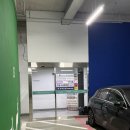 과천서울플러스내과의원 | [임신준비]난임병원 바꾸고 인공수정3차 도전!! -서울아이앤여성의원