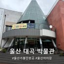 올가 펜션 | 울산 실내 가볼 만한 곳 울산 대곡 박물관 명절에 다녀온 후기
