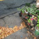 정희네 가게 이미지