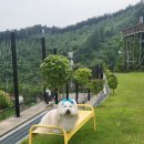 빌라드루이 이미지