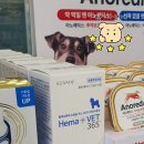 고은동물병원 이미지