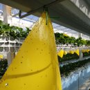 신기루농장 이미지