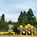 Bee HOTEL 이미지
