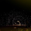 미냥이 | 동에 번쩍 서에 번쩍 10월 여행 일상.zip :: 방콕·꼬따오·다낭