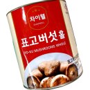 차이웰