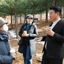 자일 이미지